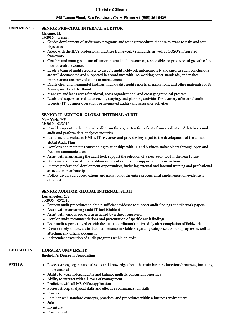 Senior Auditor, Internal Resume Samples | Velvet Jobs