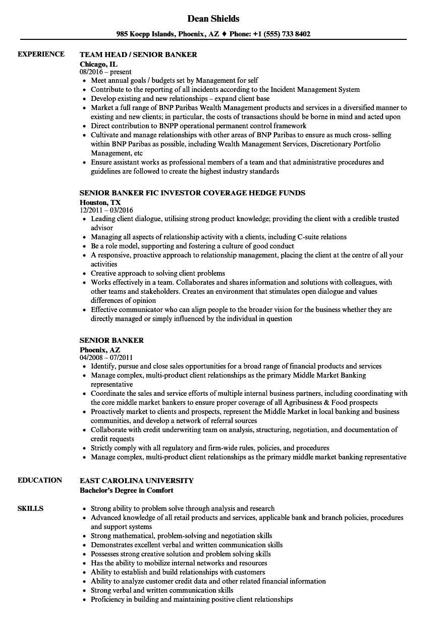 Private Equity Resume Template And Example 10x Ebitda