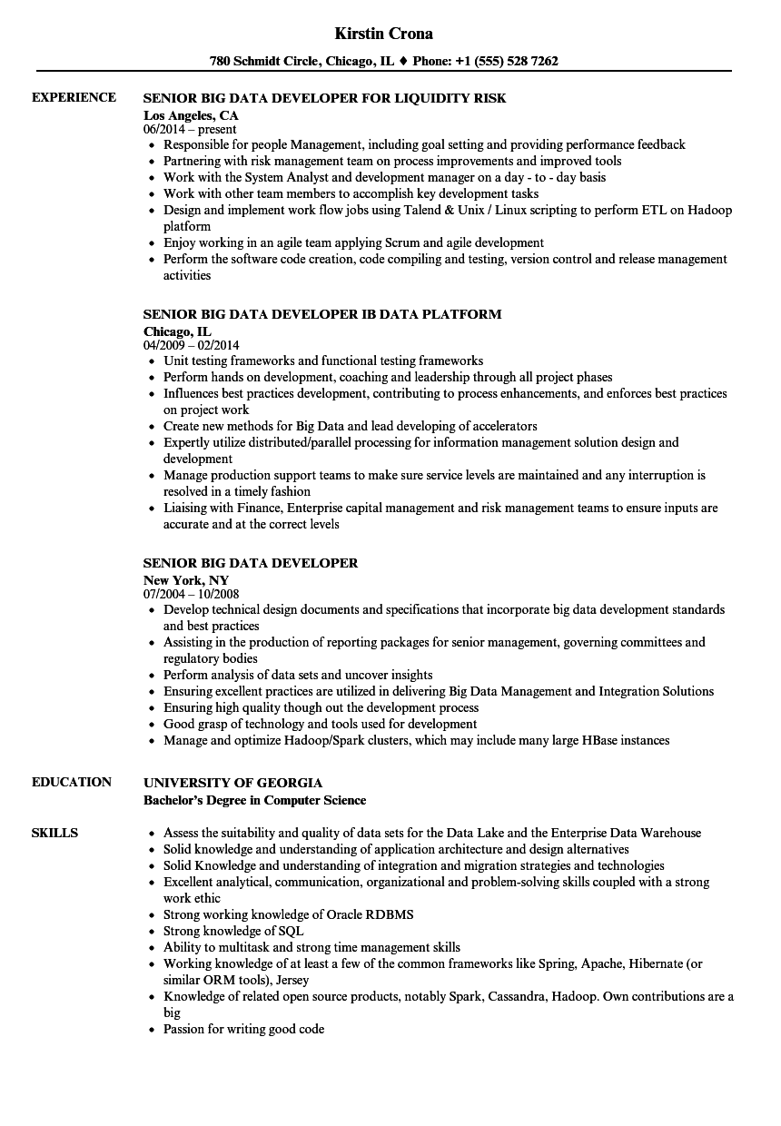 Senior Big Data Developer Resume Samples