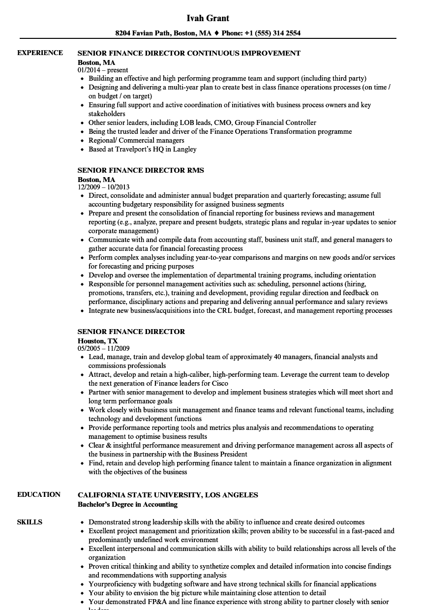 Senior Finance Director Resume Samples Velvet Jobs