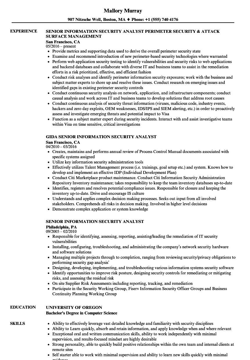 It Security Analyst Resume Sample