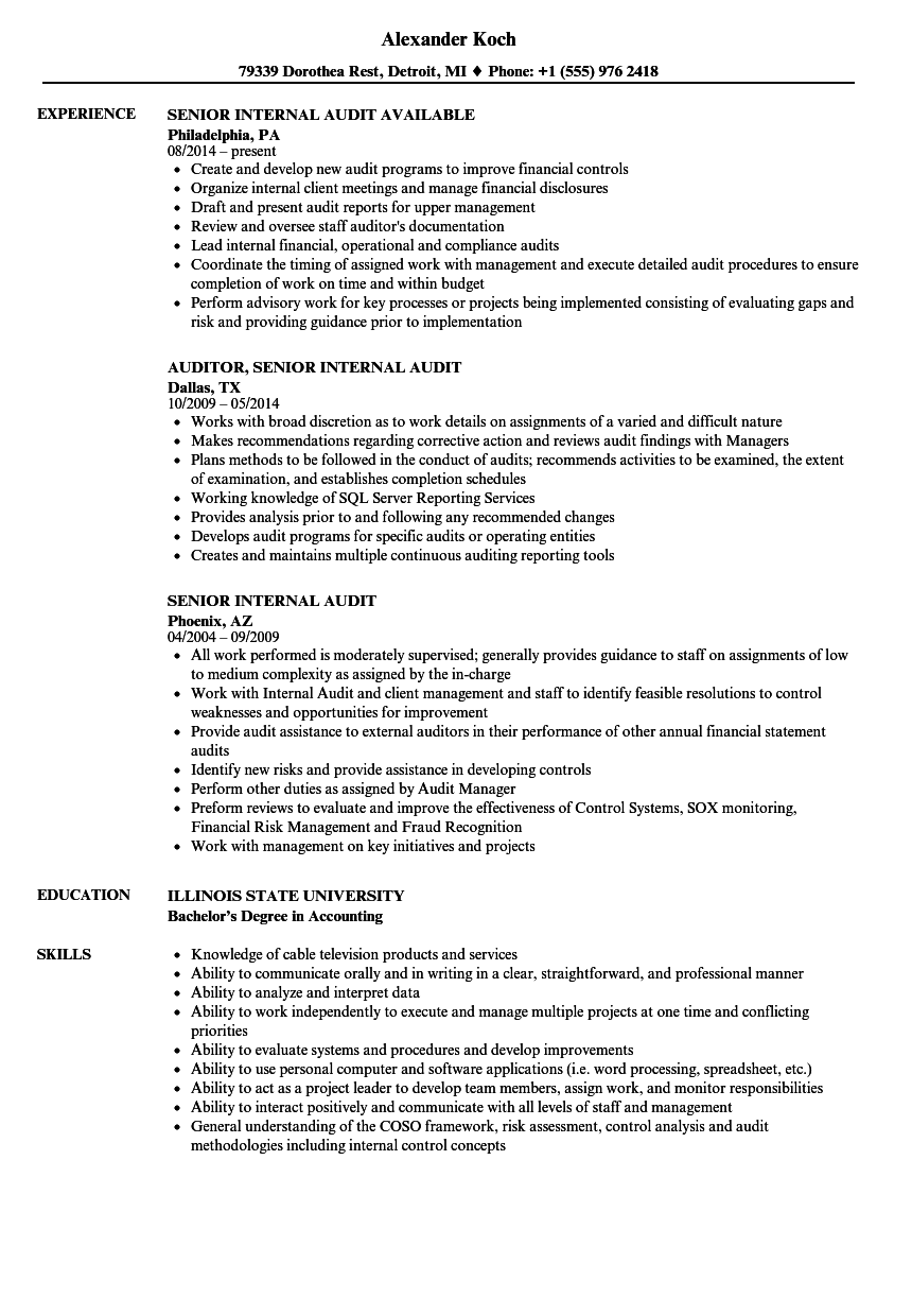 Senior Internal Audit Resume Samples Velvet Jobs