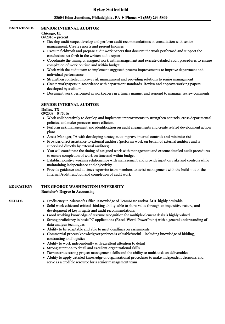 Senior Internal Auditor Resume Samples Velvet Jobs