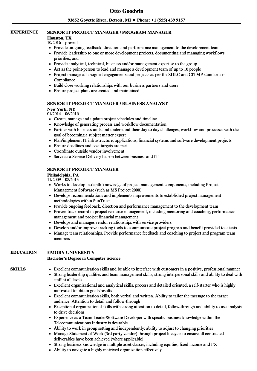 Senior It Project Manager Resume Samples Velvet Jobs