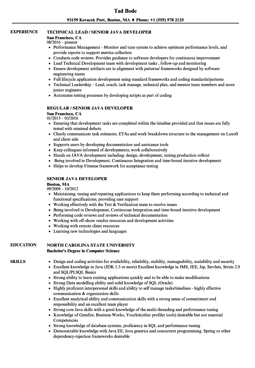 resume format for 2 year experienced java developer