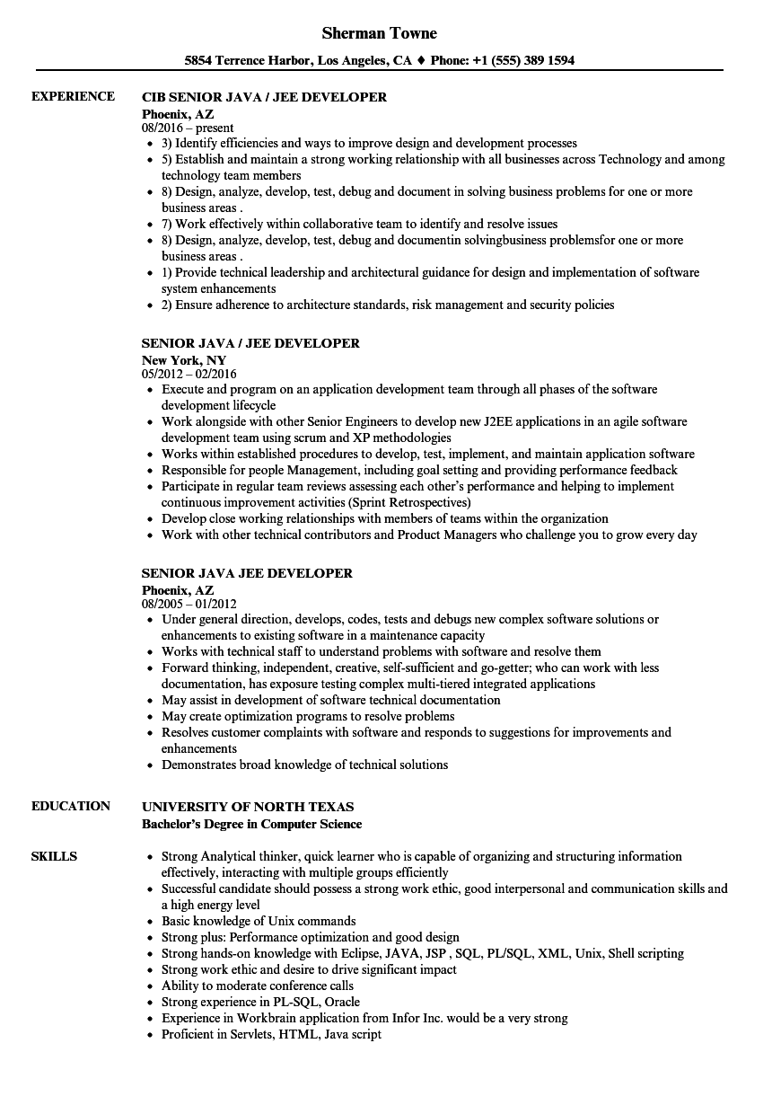 doc resume j2ee