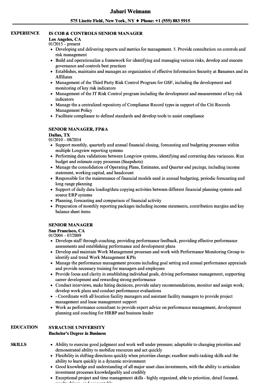 Senior Manager Resume Template Word