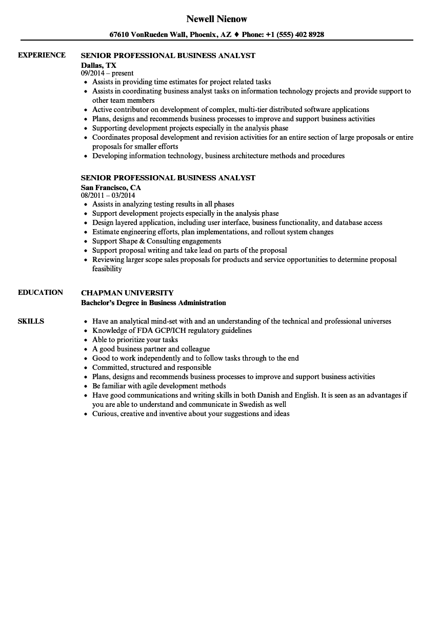 Senior Professional Business Analyst Resume Samples Velvet Jobs