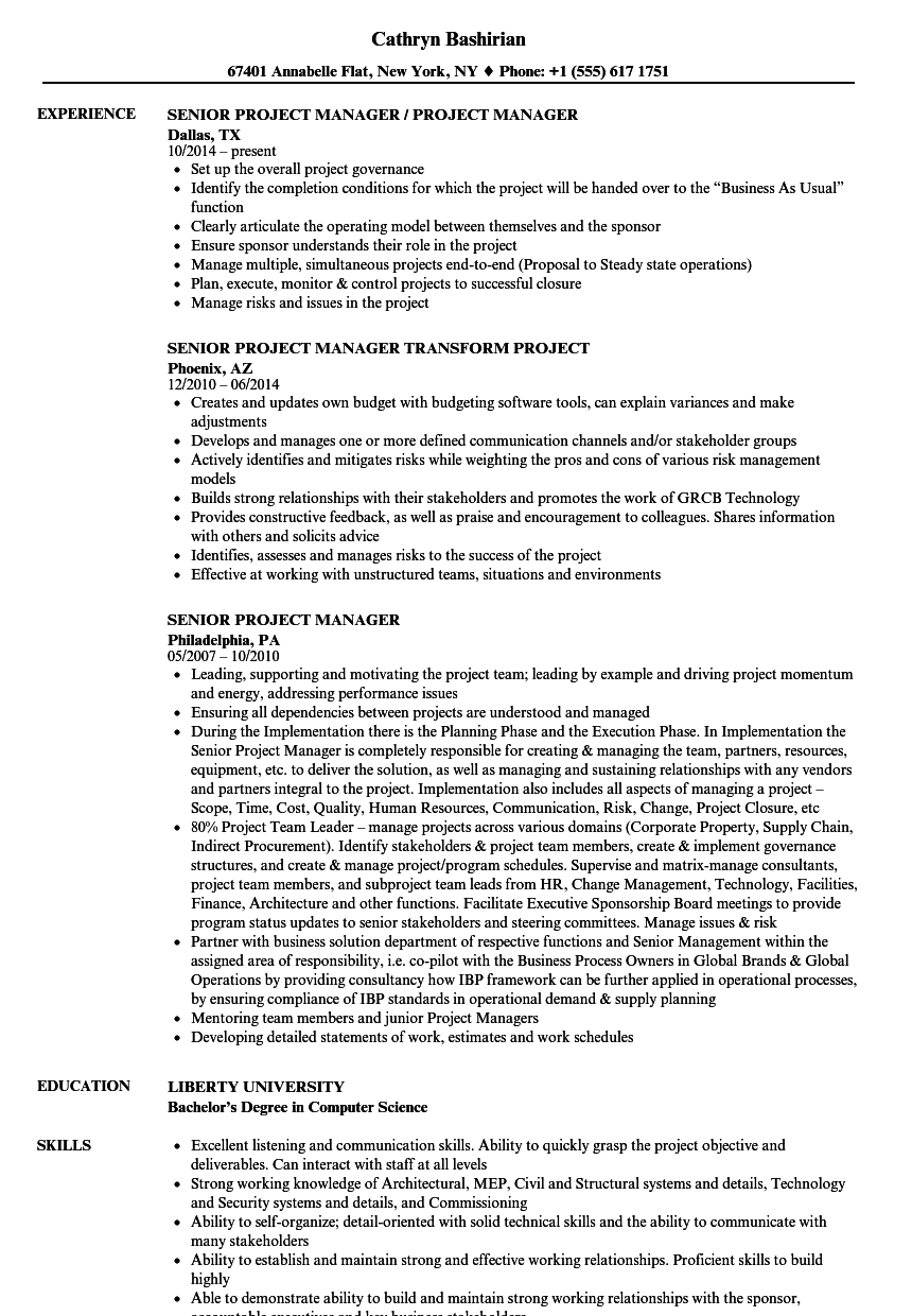 senior project manager resume samples