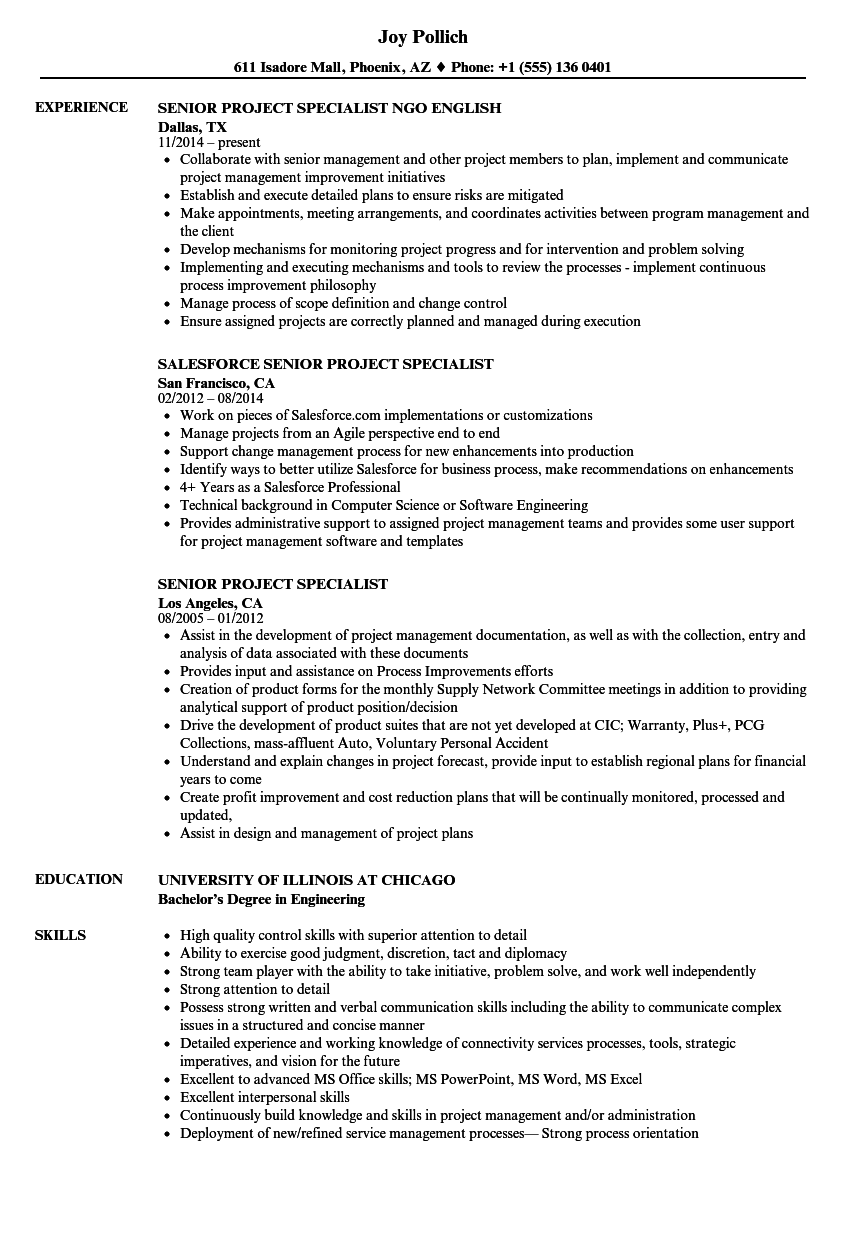 senior project specialist resume samples