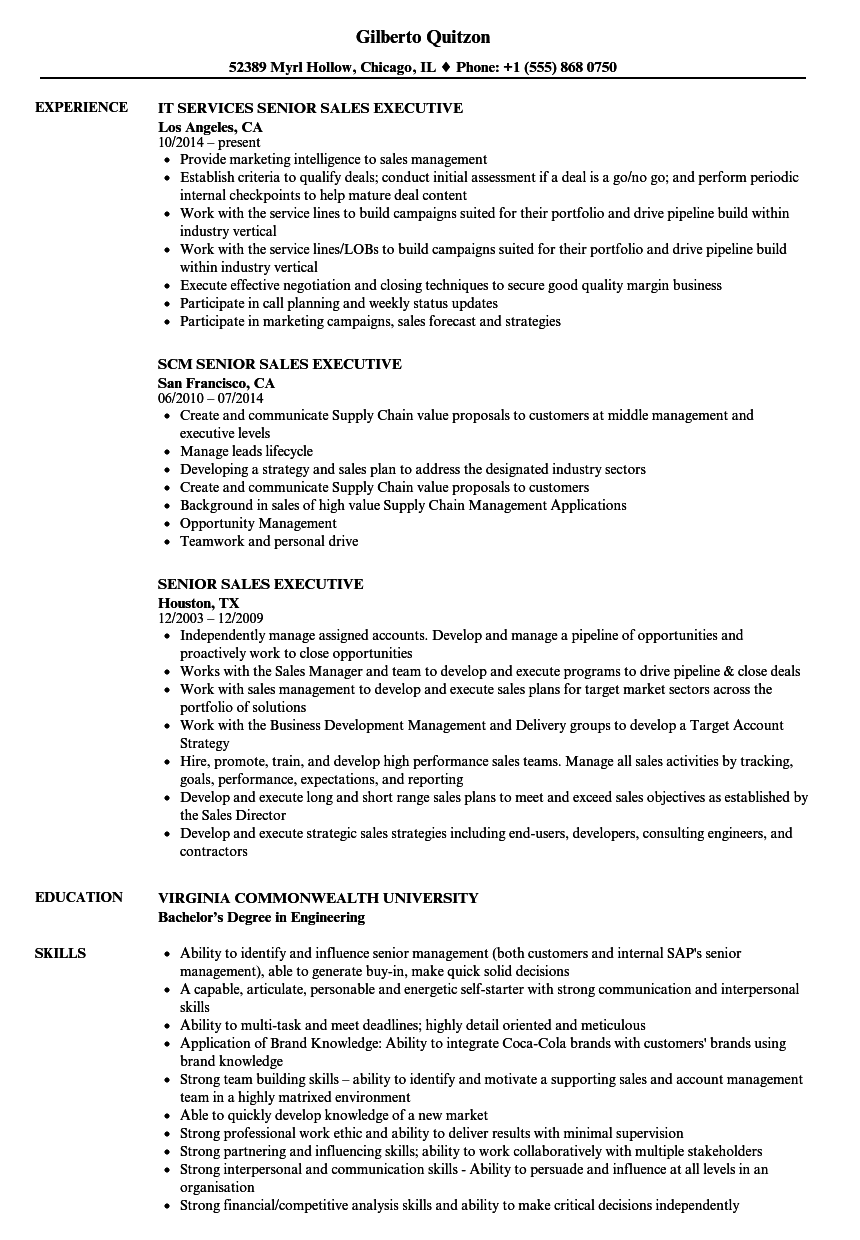 Senior Sales Executive Resume Samples | Velvet Jobs