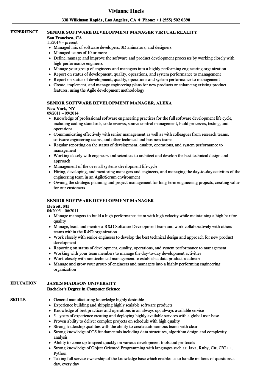 Software Development Manager Resume Example