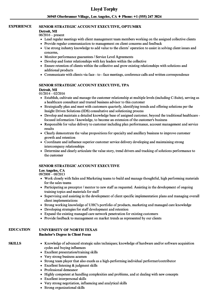 Sample Resume For Account Executive Position