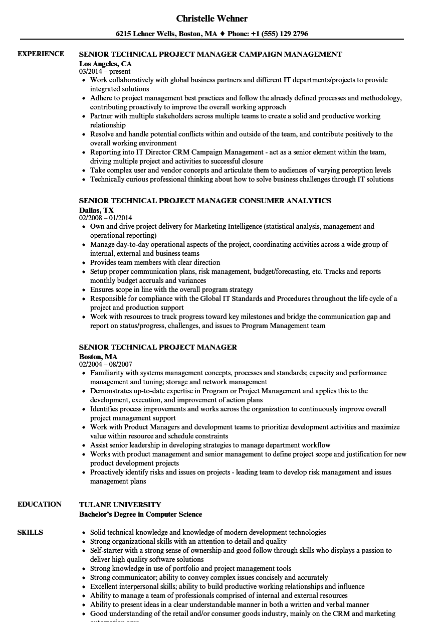 Senior Technical Project Manager Resume Samples  Velvet Jobs