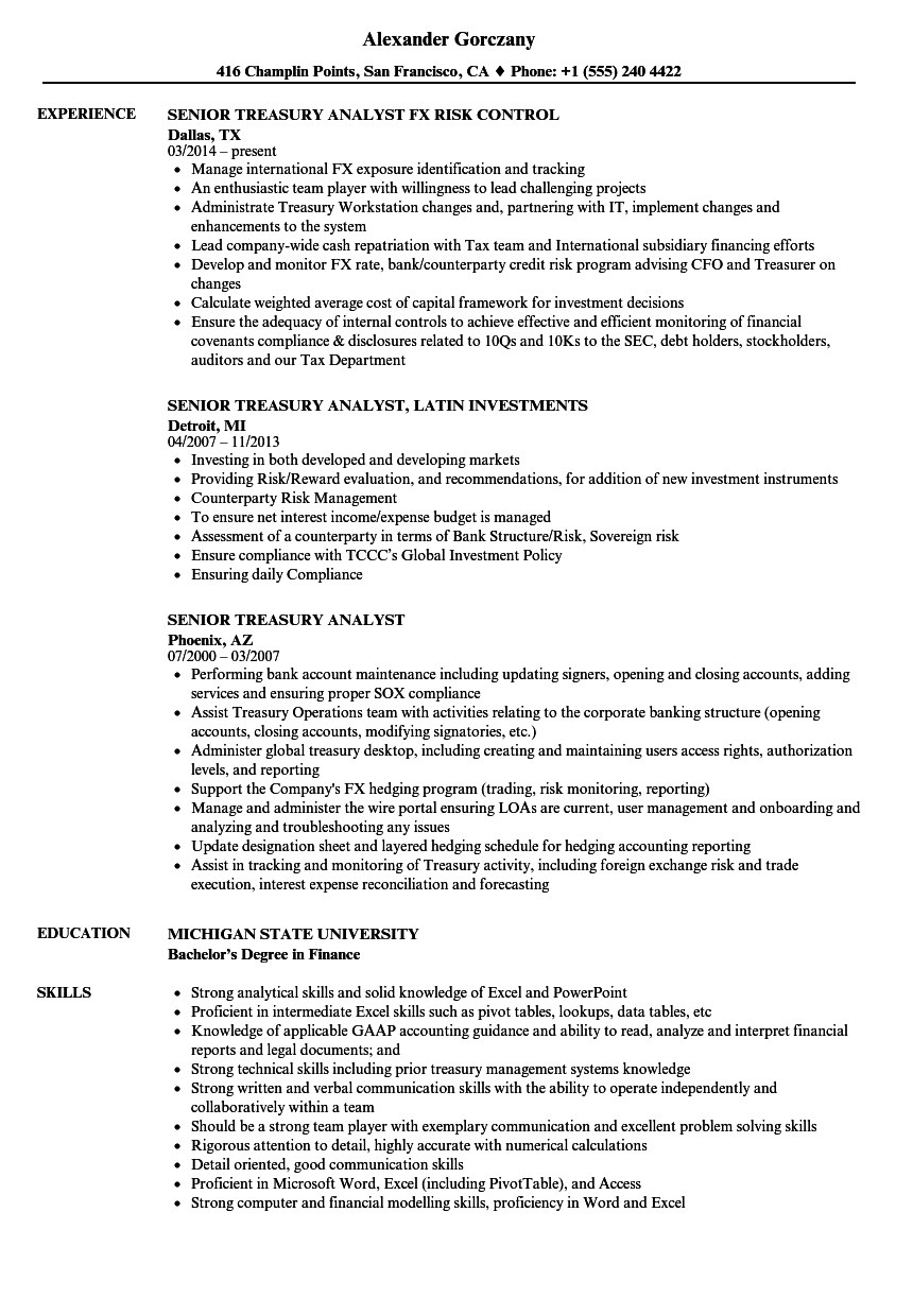 buy side analyst resume