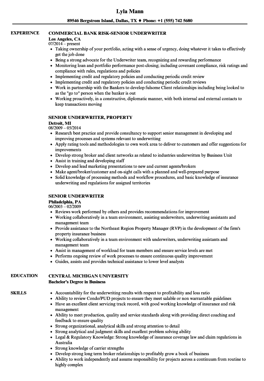Senior Underwriter Resume Samples Velvet Jobs