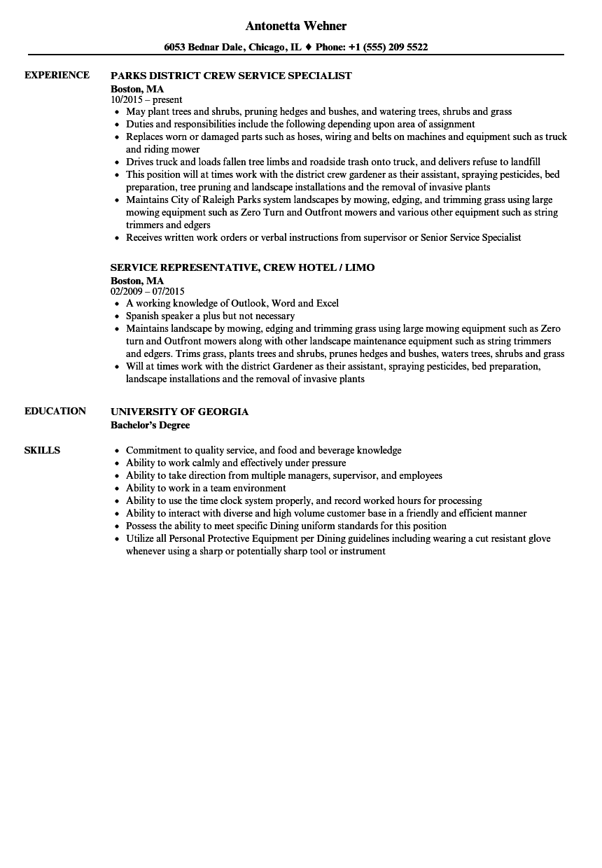 sample of resume for service crew