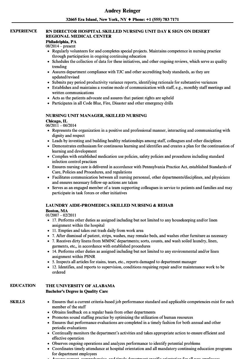 Nursing Director Resume Sample