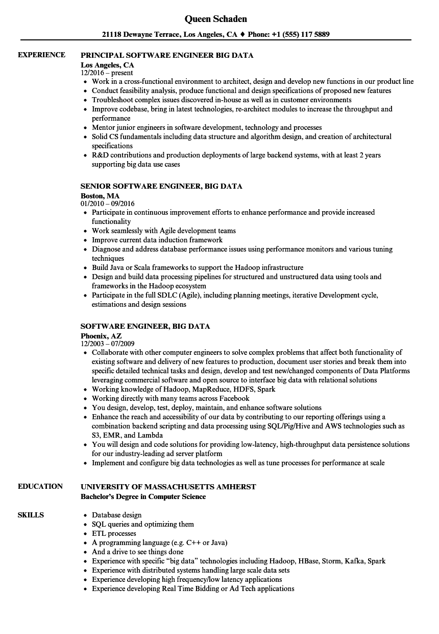 Software Engineer Big Data Resume Samples