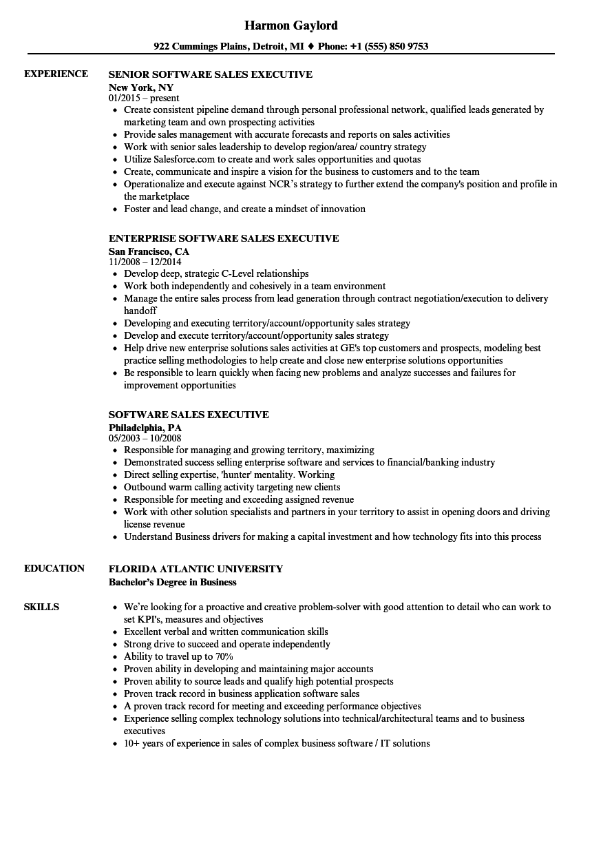 Software Sales Executive Resume Samples | Velvet Jobs