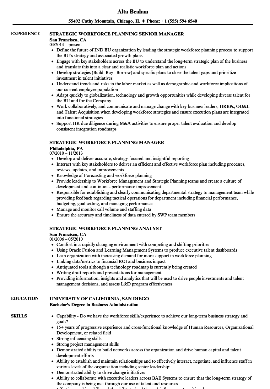 strategic workforce planning manager job description