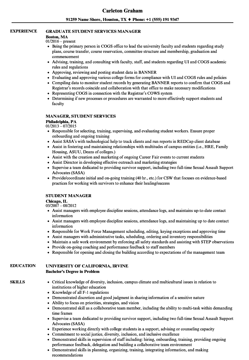 Looking for feedback and advice on my CV - Luxury MSc student