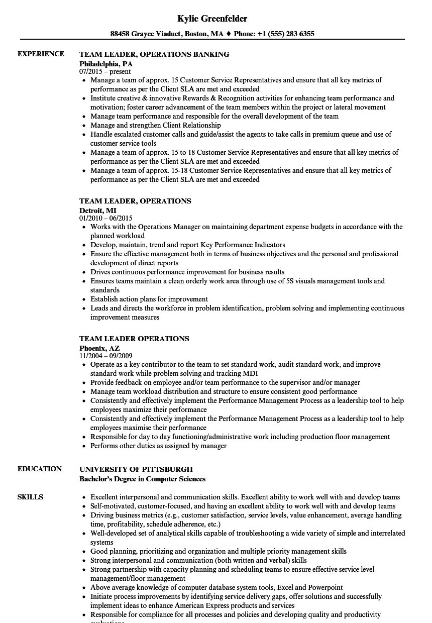 Lead Operations Resume Sample