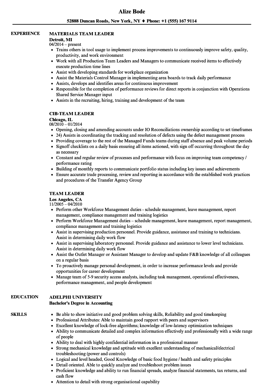 resume format team leader position