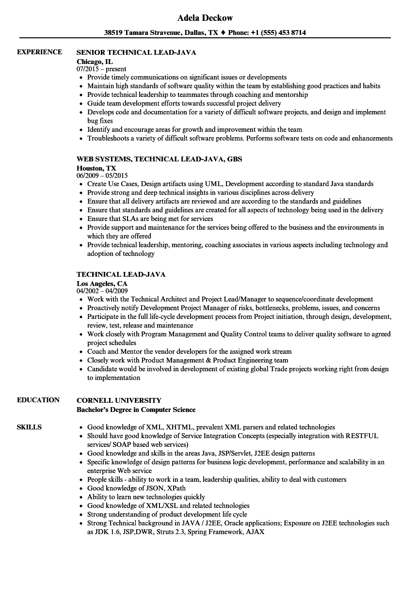 Technical Lead-java Resume Samples  Velvet Jobs