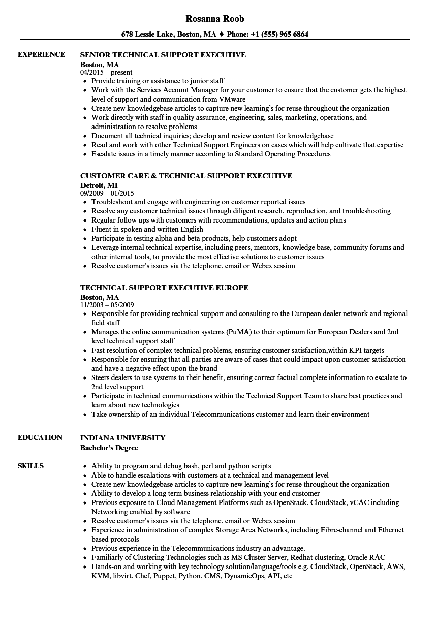 technical support executive resume