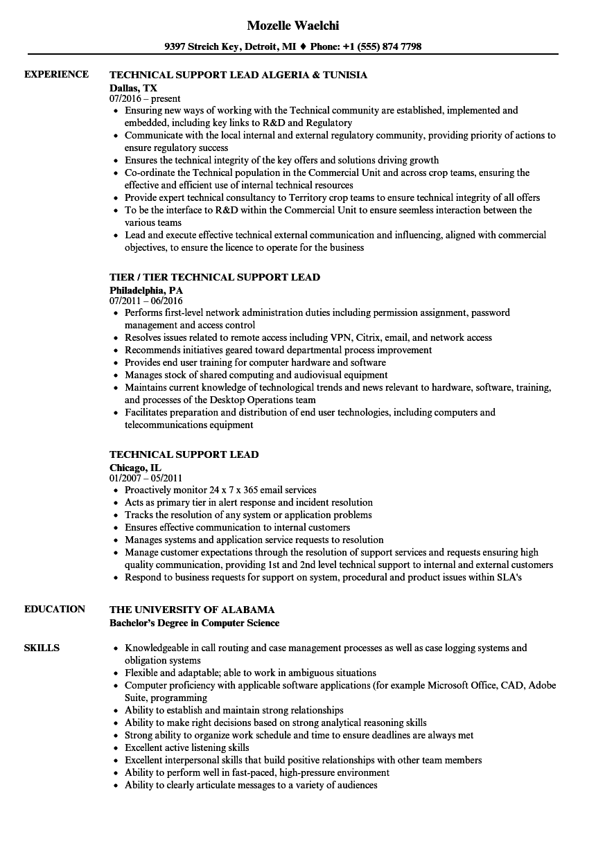 resume for application support lead