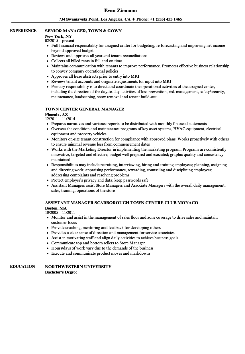 City manager resume examples