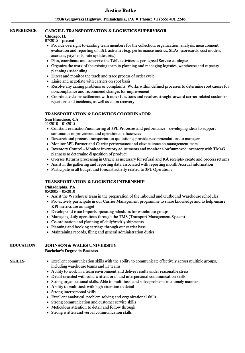 Sample Logistics Resume Example