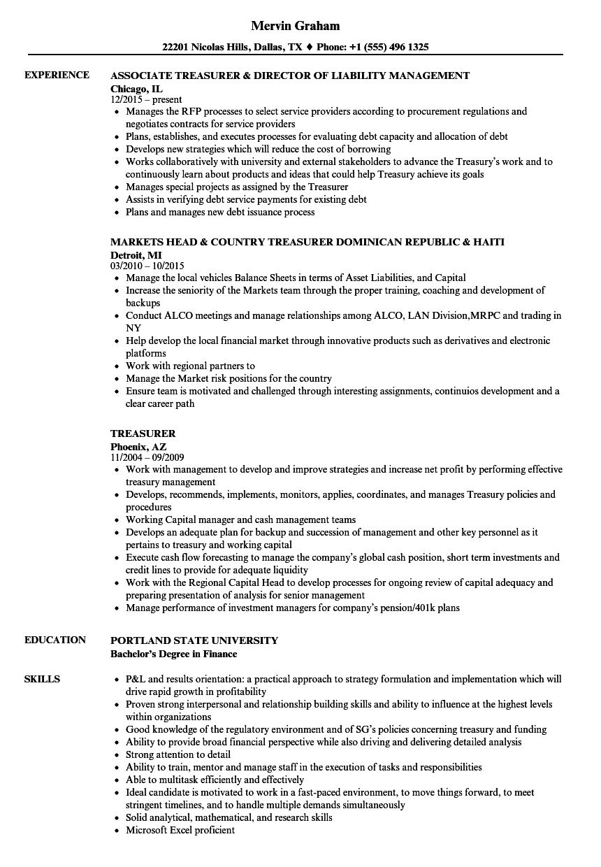 Treasurer Resume Samples  Velvet Jobs