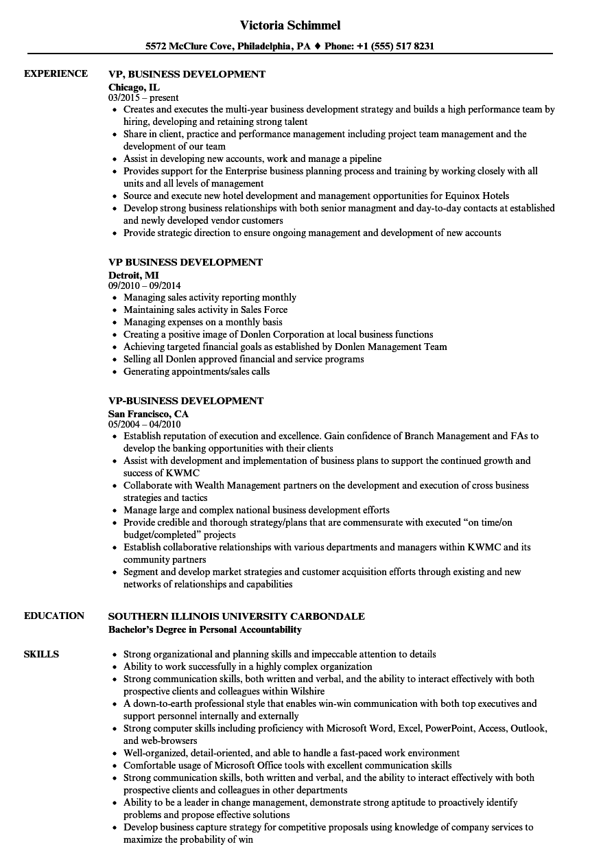 Vp Business Development Resume Samples Velvet Jobs