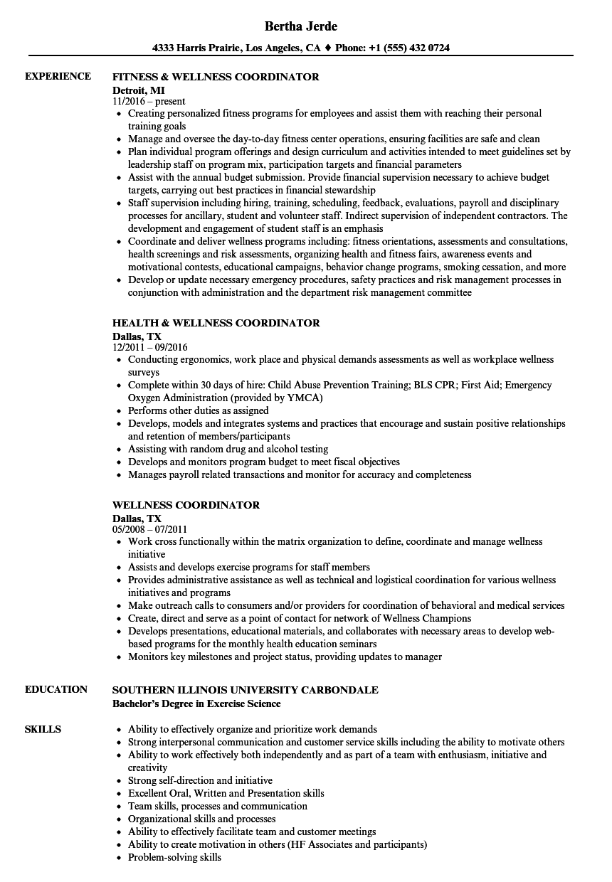 resume summary examples for wellness